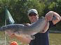 Channel Catfish