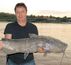 Channel Catfish