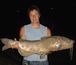 Channel Catfish